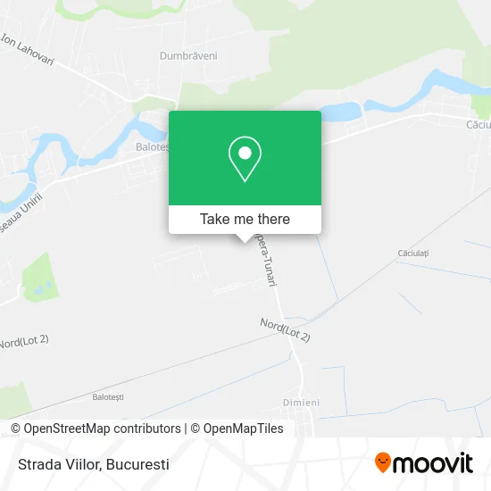 Strada Viilor map