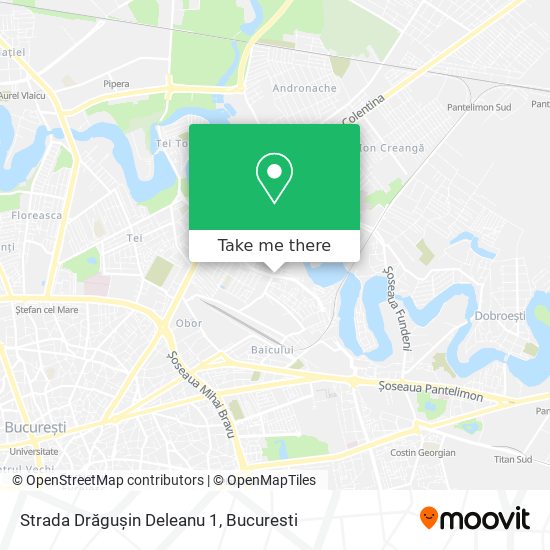 Strada Drăgușin Deleanu 1 map