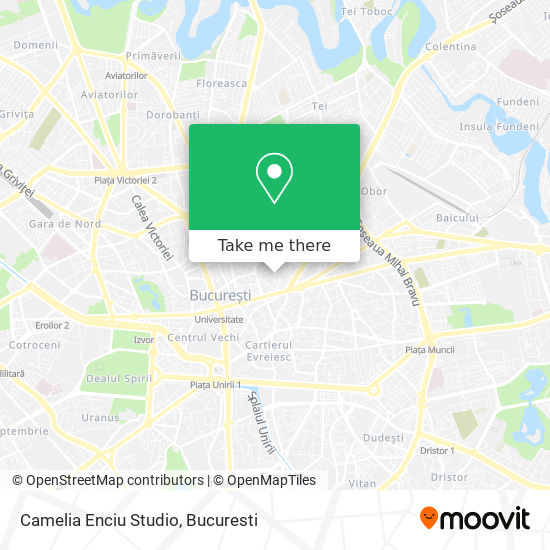 Camelia Enciu Studio map