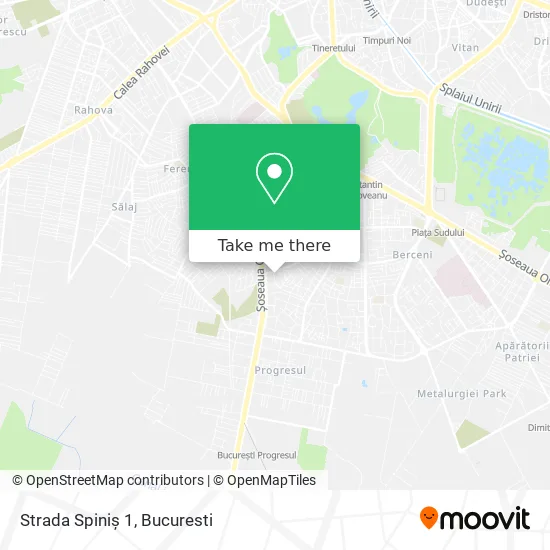 Strada Spiniș 1 map