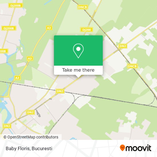 Baby Floris map