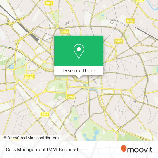 Curs Management IMM map