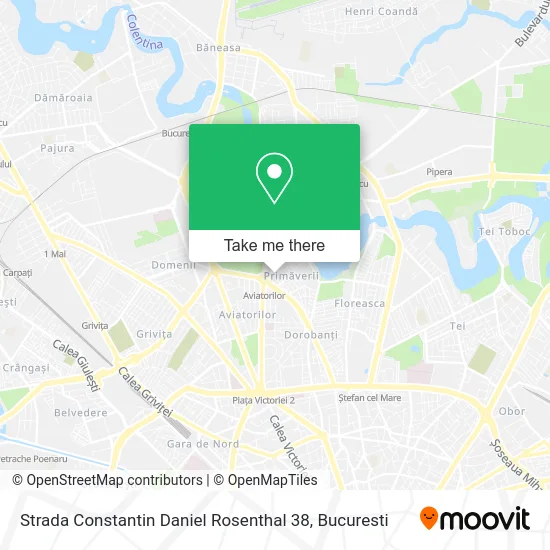 Strada Constantin Daniel Rosenthal 38 map