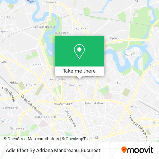 Adis Efect By Adriana Mandreanu map