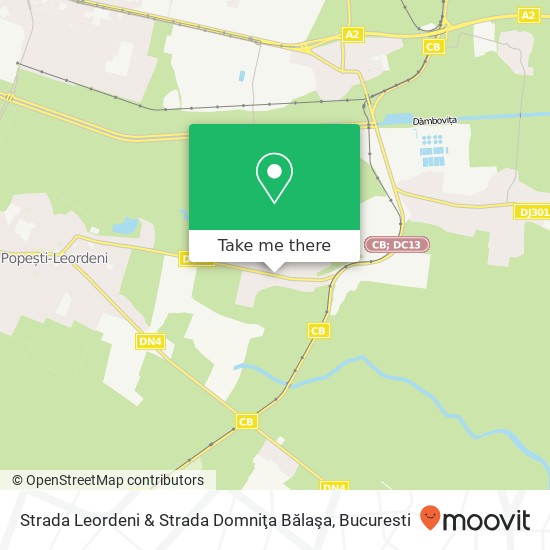 Strada Leordeni & Strada Domniţa Bălaşa map