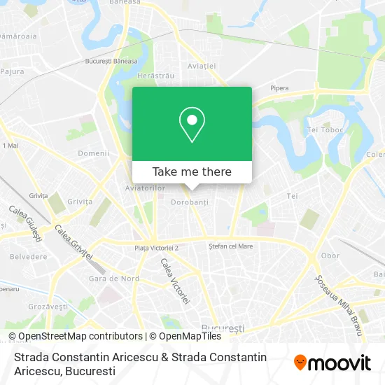 Strada Constantin Aricescu & Strada Constantin Aricescu map