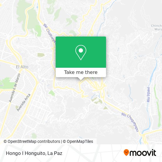 Mapa de Hongo I Honguito