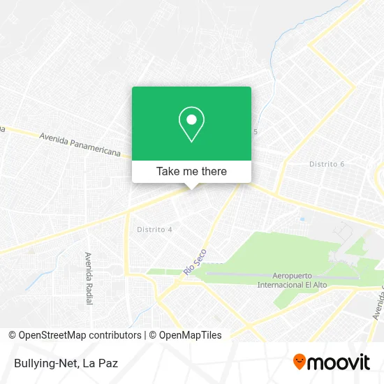 Bullying-Net map