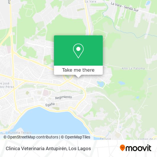 Clinica Veterinaria Antupirén map