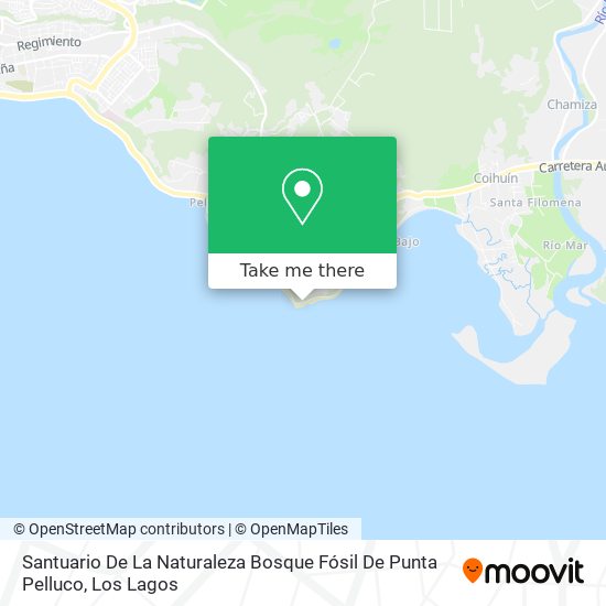 Santuario De La Naturaleza Bosque Fósil De Punta Pelluco map