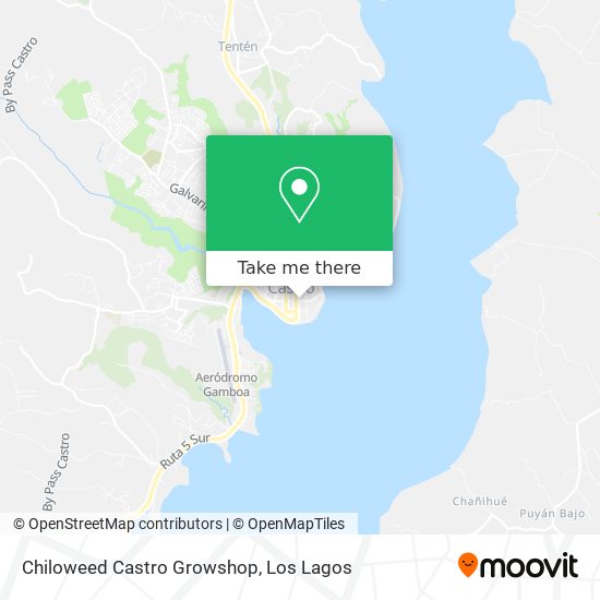 Chiloweed Castro Growshop map