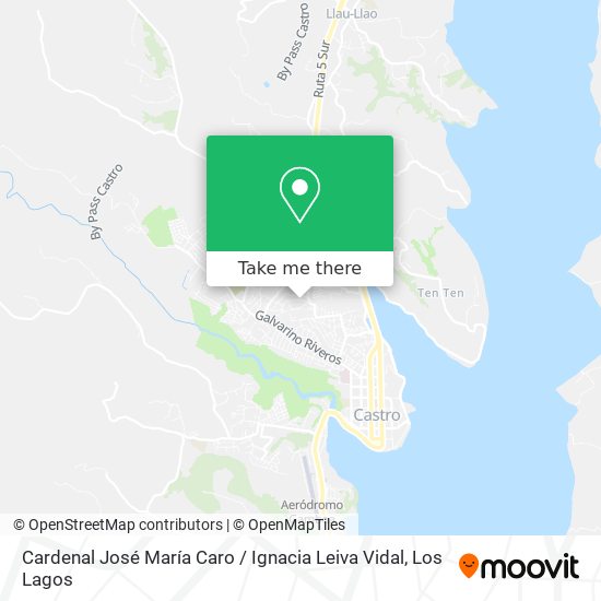 Cardenal José María Caro / Ignacia Leiva Vidal map