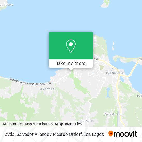 Mapa de avda. Salvador Allende / Ricardo Ortloff