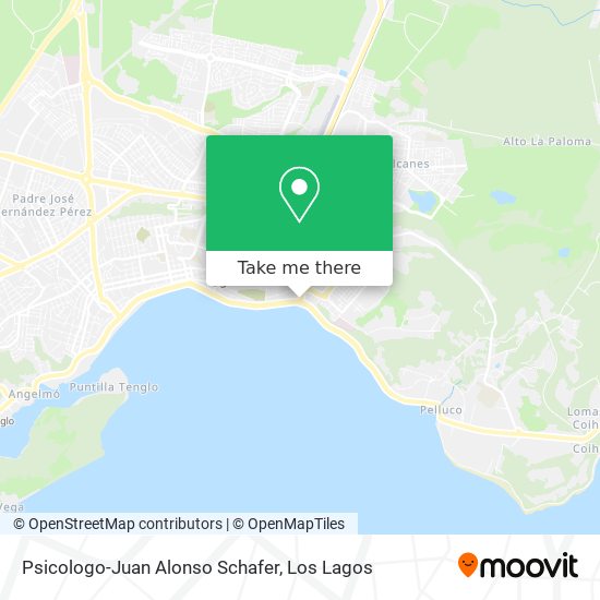 Mapa de Psicologo-Juan Alonso Schafer