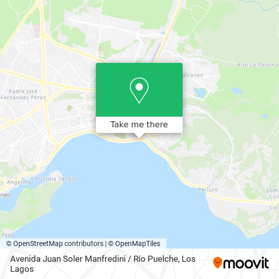 Avenida Juan Soler Manfredini / Río Puelche map