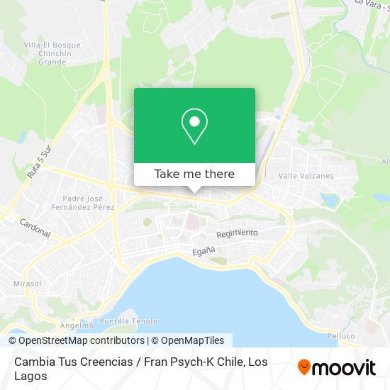 Mapa de Cambia Tus Creencias / Fran Psych-K Chile
