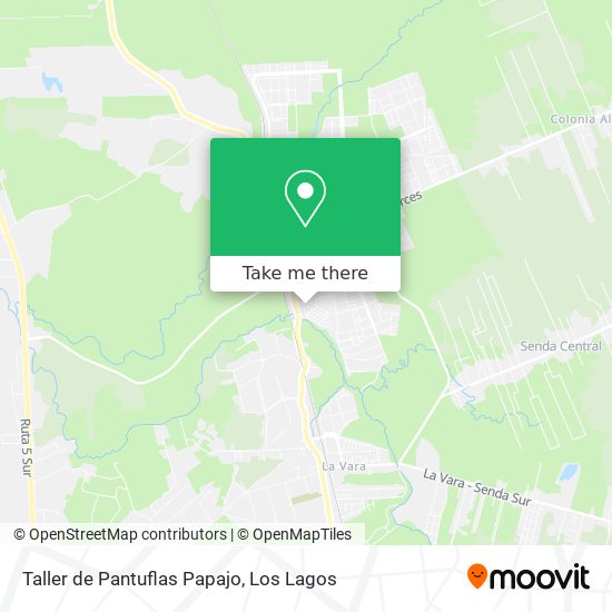 Taller de Pantuflas Papajo map