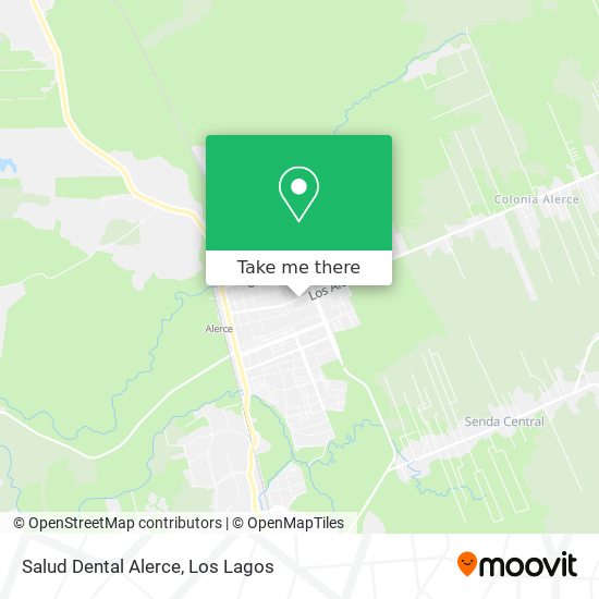 Salud Dental Alerce map