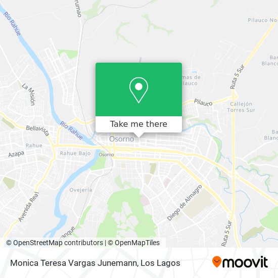 Monica Teresa Vargas Junemann map