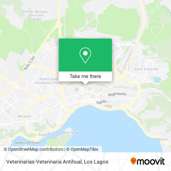 Veterinarias-Veterinaria Antihual map