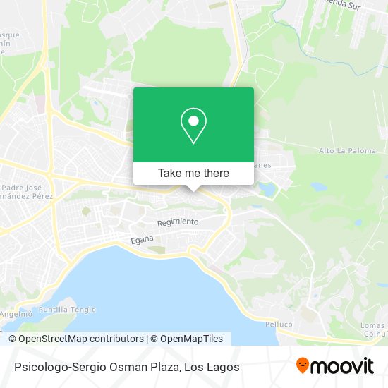 Psicologo-Sergio Osman Plaza map