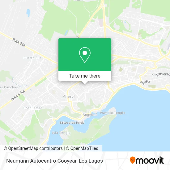 Neumann Autocentro Gooyear map