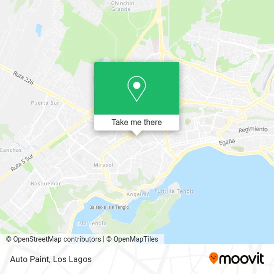 Auto Paint map