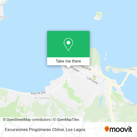 Excursiones Pingüineras Chiloé map