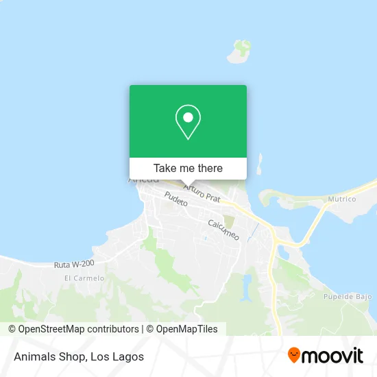 Animals Shop map
