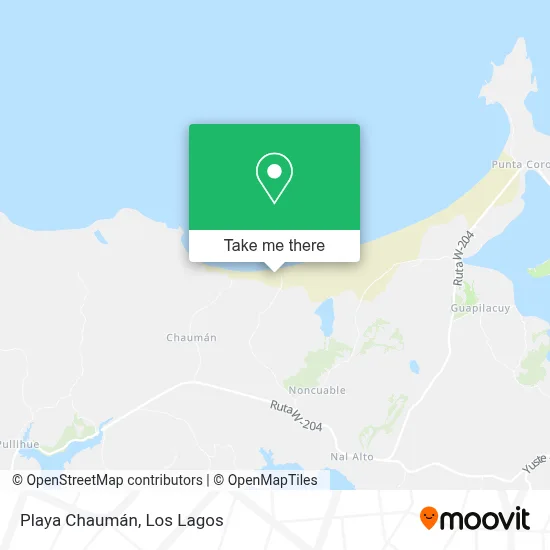 Playa Chauman map
