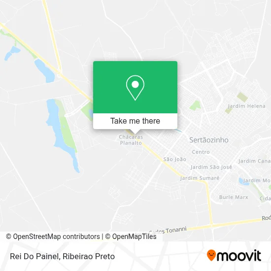 Rei Do Painel map