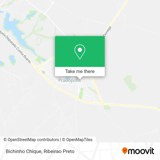 Bichinho Chique map
