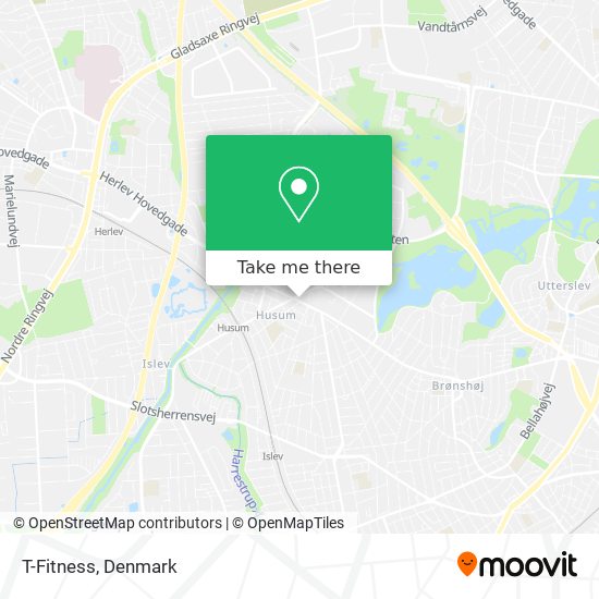 T-Fitness map
