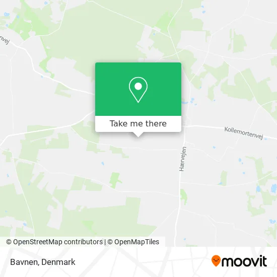 Bavnen map
