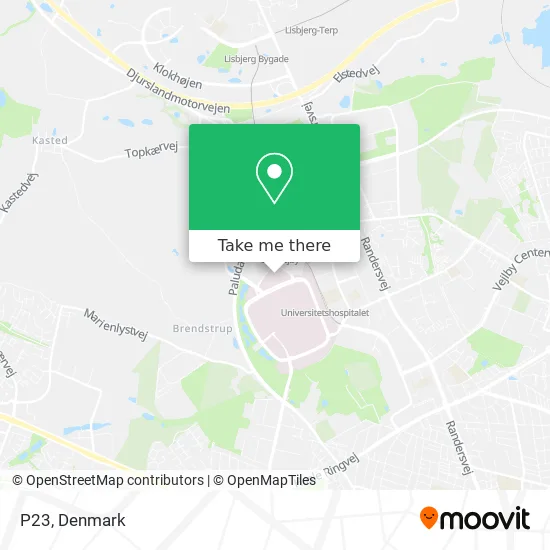 P23 map