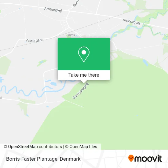Borris-Faster Plantage map