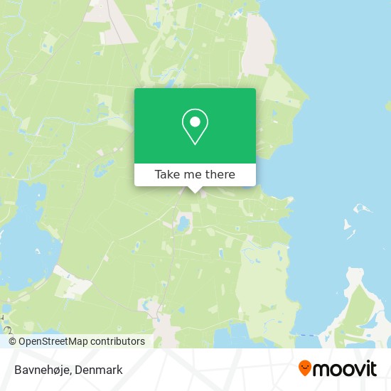 Bavnehøje map