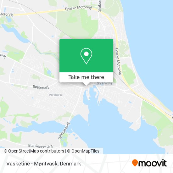 Vasketine - Møntvask map