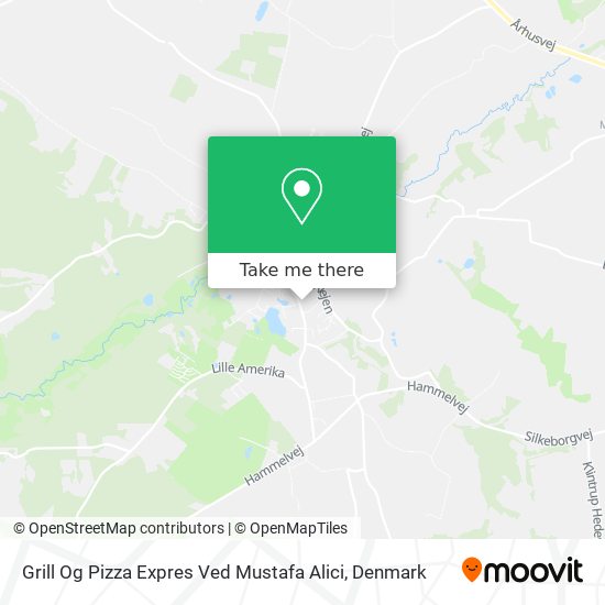 Grill Og Pizza Expres Ved Mustafa Alici map