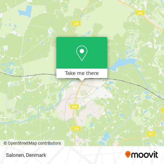 Salonen map
