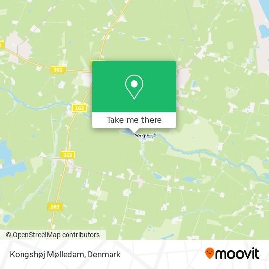 Kongshøj Mølledam map