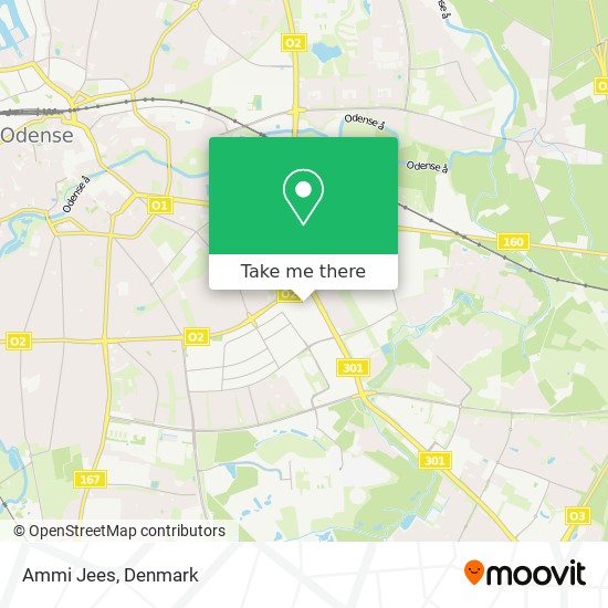 How to get to Jees in Odense by Bus or Train?