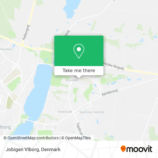 Jobigen Viborg map
