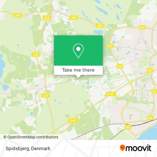 Spidsbjerg map