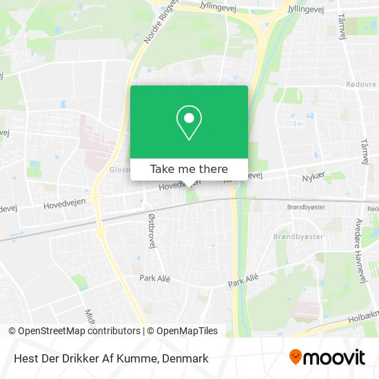 Hest Der Drikker Af Kumme map