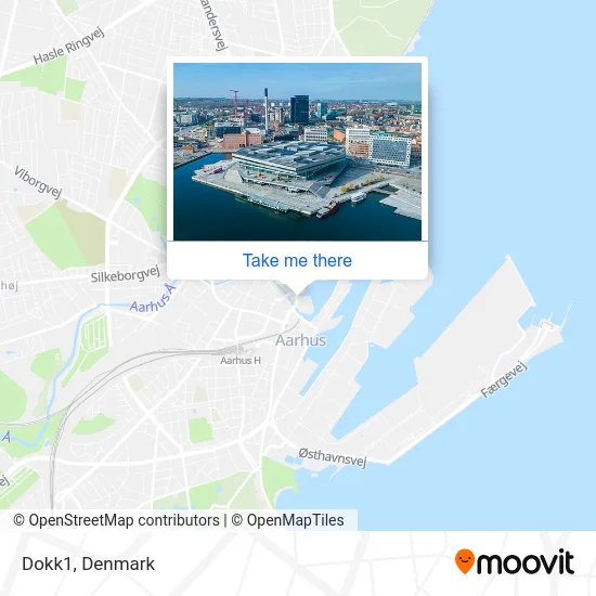Dokk1 map