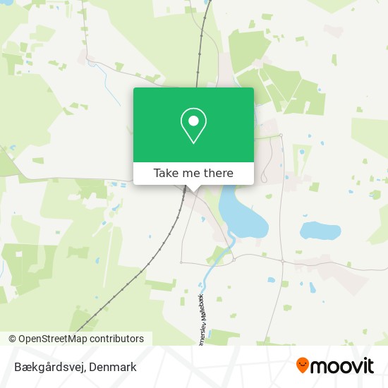 Bækgårdsvej map