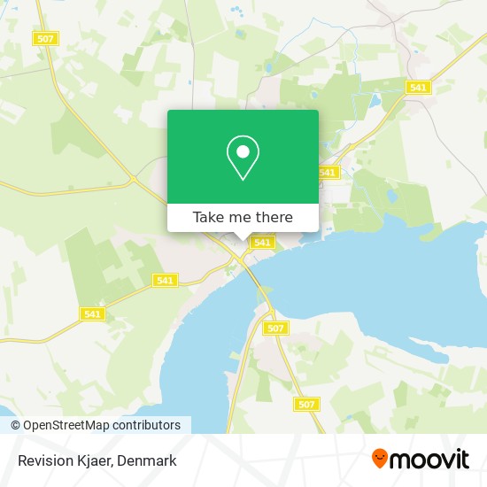 Revision Kjaer map