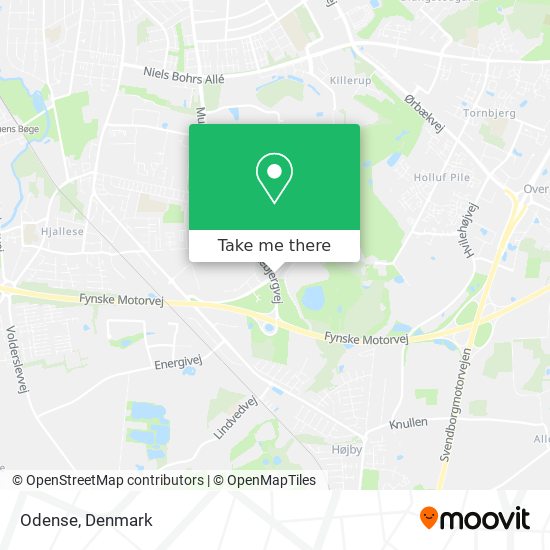 Odense map