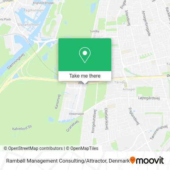 Rambøll Management Consulting / Attractor map